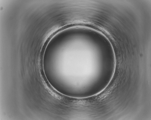 X0000060760991200511141226