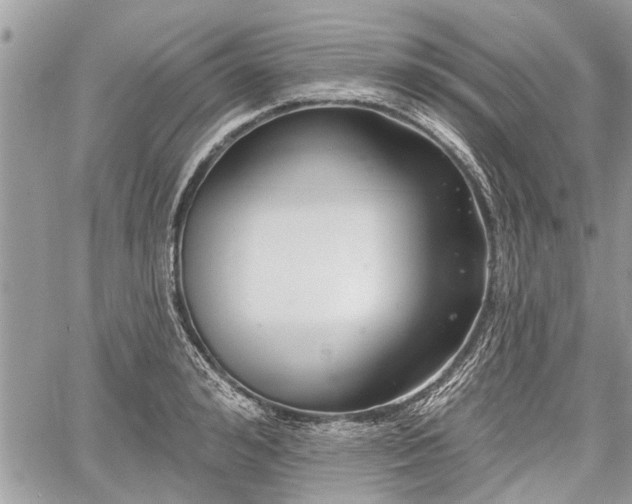 X0000060760992200511141226