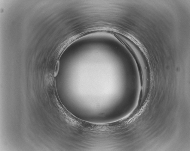 X0000060760993200511141226