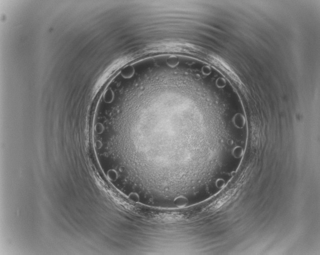 X0000060760994200511141226