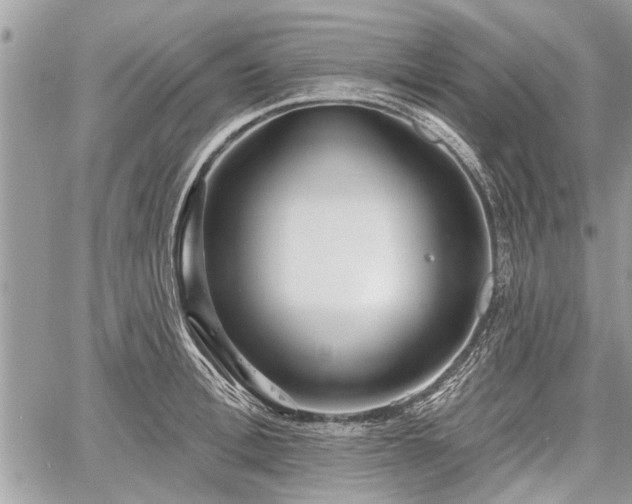 X0000060760996200511141226