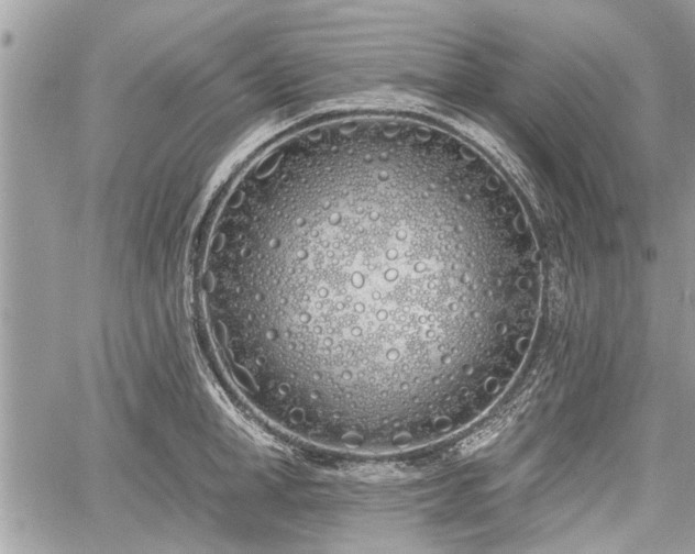 X0000060760998200511141226