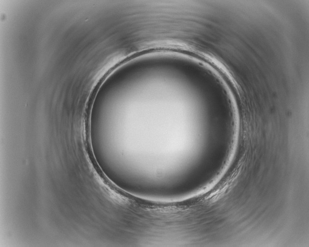 X0000060760999200511141226