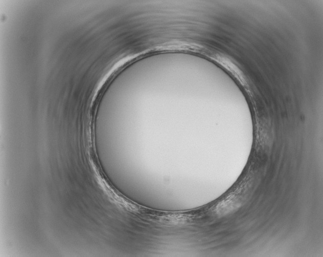 X0000060761000200511141226