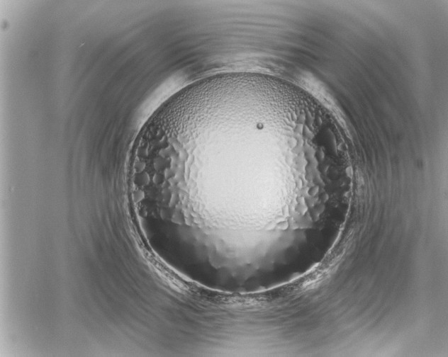 X0000060761002200511141226