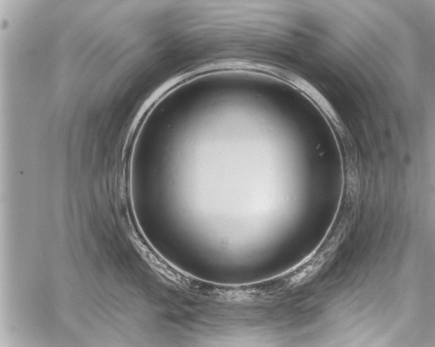 X0000060761004200511141226