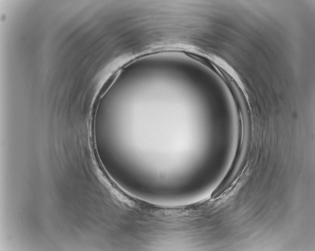 X0000060761005200511141226