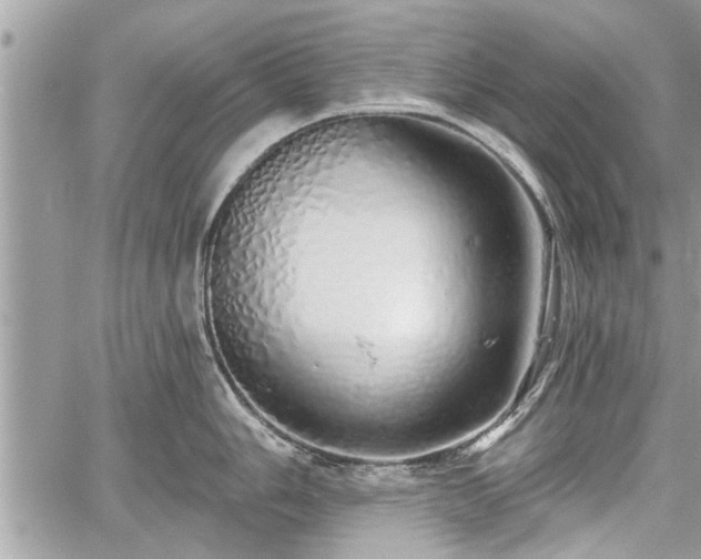 X0000060761006200511141226