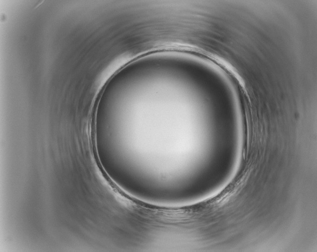 X0000060761007200511141226