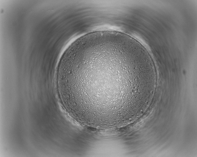 X0000060761008200511141226