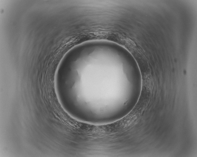 X0000060761009200511141225