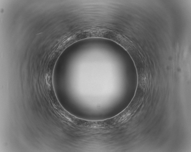 X0000060761010200511141225