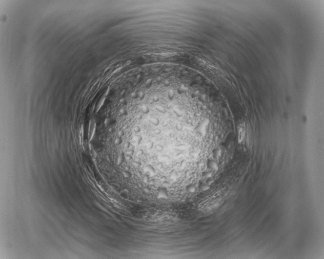 X0000060761011200511141225