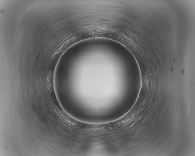 X0000060761012200511141225