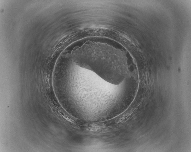 X0000060761013200511141225