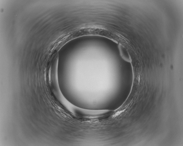 X0000060761014200511141225