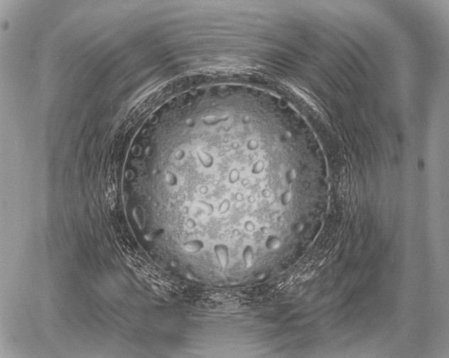 X0000060761015200511141225