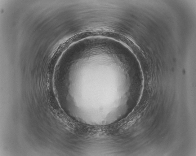 X0000060761016200511141225