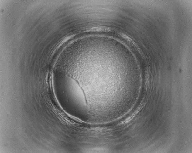 X0000060761017200511141225