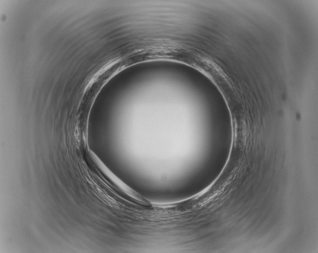 X0000060761018200511141225