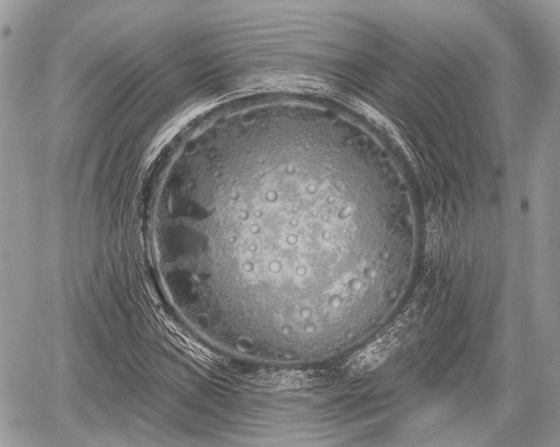 X0000060761019200511141225