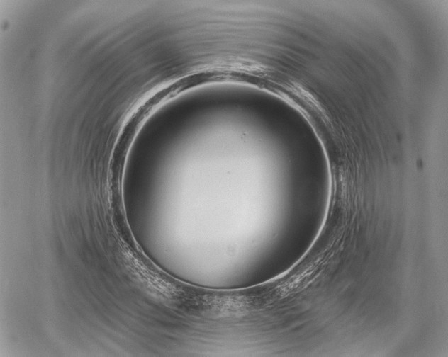 X0000060761020200511141225