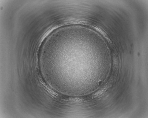 X0000060761023200511141226