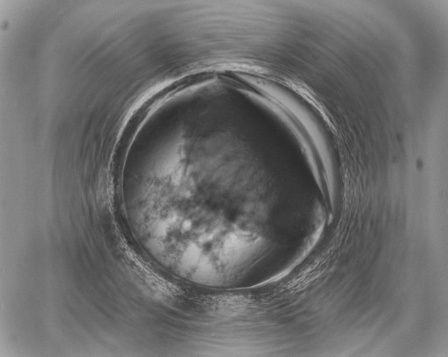 X0000060761024200511141226