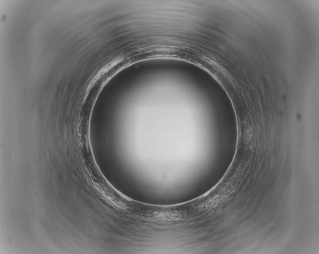 X0000060761026200511141226