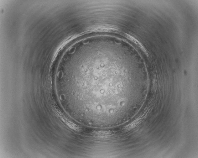 X0000060761027200511141226