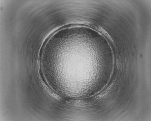 X0000060761028200511141226