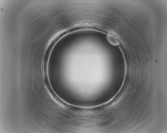 X0000060761030200511141226