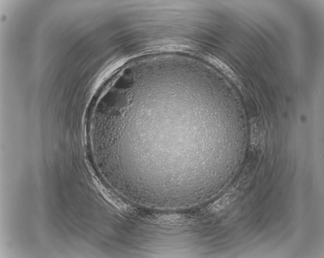 X0000060761031200511141226