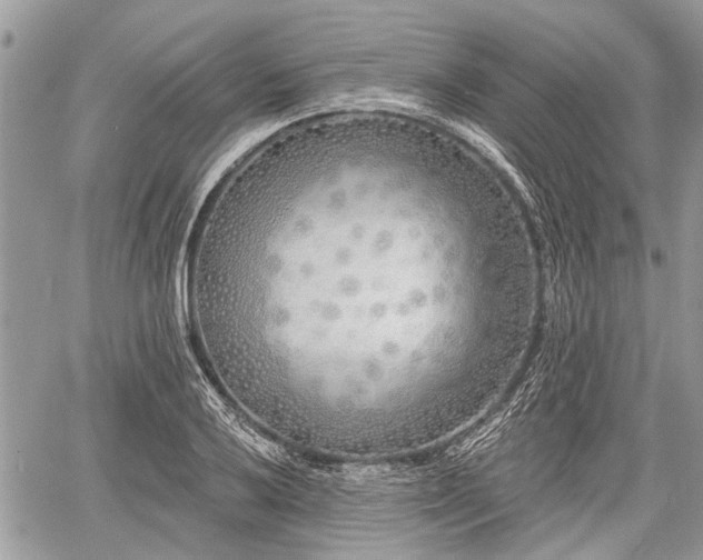 X0000060761032200511141226