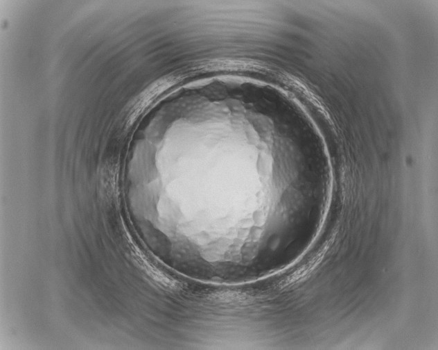 X0000060761033200511141226