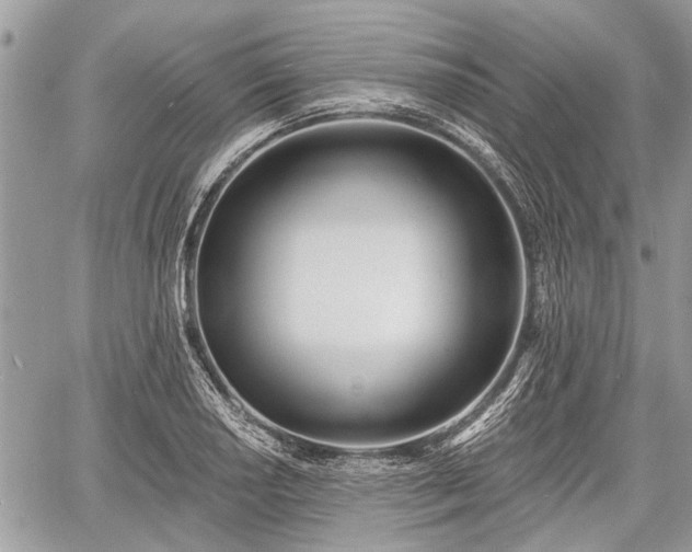 X0000060761034200511141226