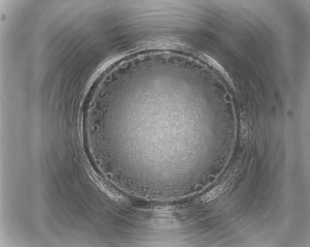 X0000060761035200511141226