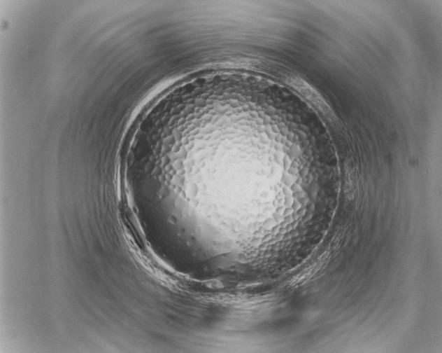 X0000060761036200511141226