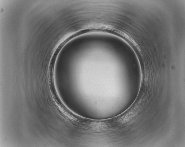 X0000060761037200511141226