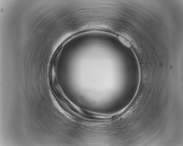 X0000060761038200511141226