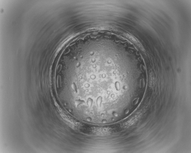 X0000060761039200511141226