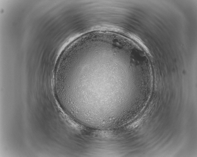 X0000060761040200511141226