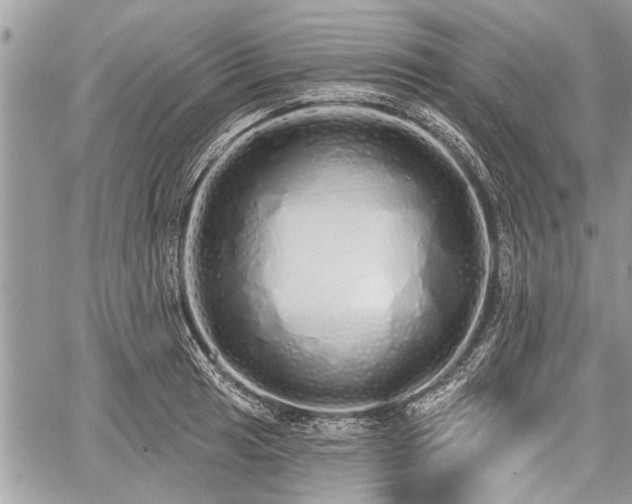 X0000060761041200511141226