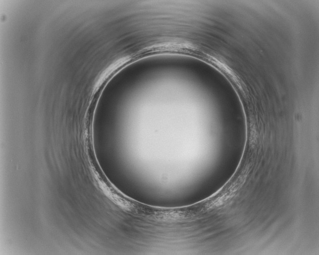 X0000060761042200511141226