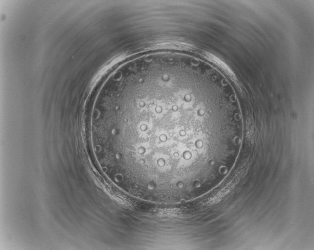 X0000060761043200511141226