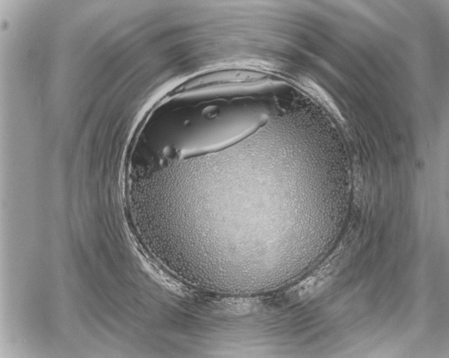 X0000060761044200511141226