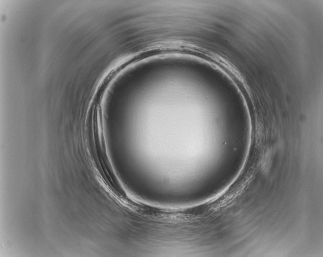 X0000060761045200511141226