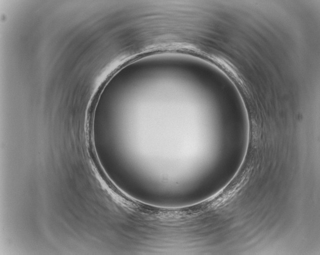 X0000060761046200511141226