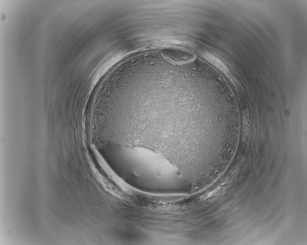 X0000060761047200511141226