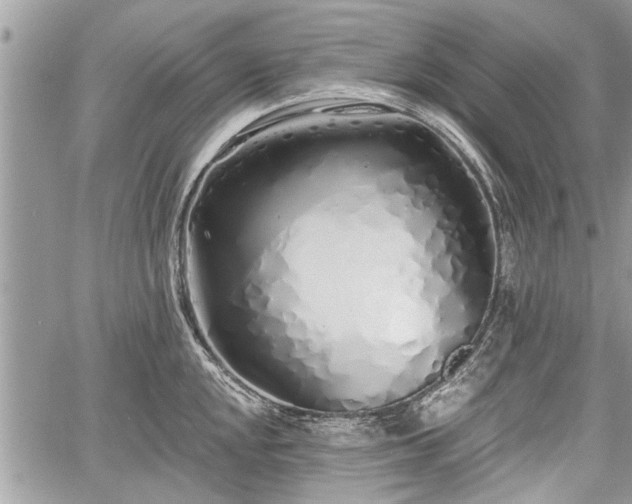 X0000060761048200511141226